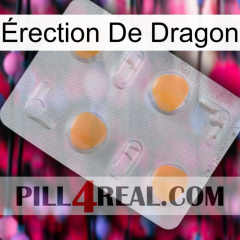 Érection De Dragon 24